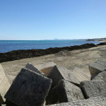 Rifiuti e detriti sulla spiaggia di velluto di Senigallia
