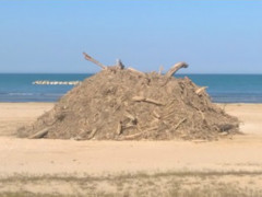 Emergenza spiaggiamenti: l'opposizione fa il suo mestiere