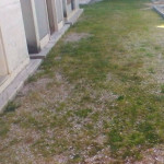 Cimitero dI Roncitelli