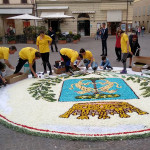 L'infiorata in piazza Roma a Senigallia con i maestri di Castelraimondo: lo stemma comunale
