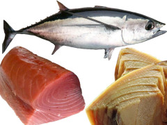 tonno, pesce, prodotti ittici