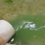 Particolare dello scarico