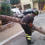 Albero caduto in via Lago di Garda. Intervento dei Vigili del Fuoco
