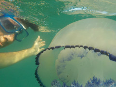 selfie con medusa al largo del Ciarnin