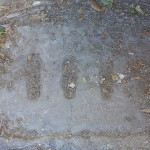 Uno dei tombini otturati da fango e aghi di pino di via Capanna lasciati cosi da dopo l'alluvione 2014