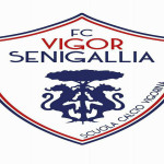 FC Vigor Senigallia-Logo