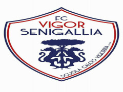 FC Vigor Senigallia-Logo