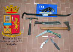 Le armi poste sotto sequestro dalla Polizia a Senigallia