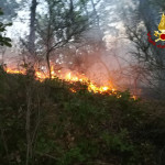 Incendio a Serra San Quirico, a fuoco la vegetazione