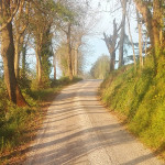 Strada di campagna, passeggiata, camminata