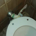 Il bagno rotto in una casa popolare di Senigallia, la segnalazione di Fratelli d'Italia