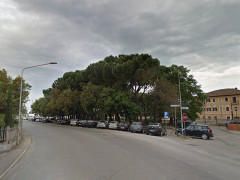 La pineta a fianco della stazione ferroviaria di Senigallia, tra via Poerio e viale Bonopera