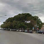 Pineta stazione Bonopera