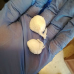 la droga sequestrata