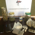 Sequestro sostanze stupefacenti da parte dei Carabinieri di Senigallia