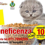 cena beneficenza gattile