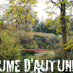 Confluenze: passeggiata fiume d'autunno