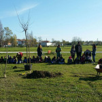 Piantumazione alberi