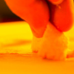 arte e letteratura mostra