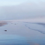 Il mare d'inverno raccontato da Camillo Langone