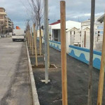 Lungomare di Cesano di Senigallia