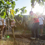 Aperto con scadenza il 5 febbraio il Bando nazionale volontari per la selezione di 489 giovani