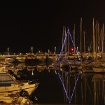 Alberi a Natale - Foto di Orietta Savelli