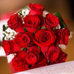 Fiori e idee regalo per San Valentino al Vivaio Piantaviva di Senigallia