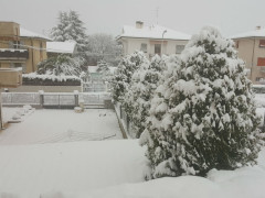 Neve a Pianello di Ostra