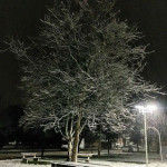 Neve su Senigalia - Foto da Instagram di gianlu_nevi