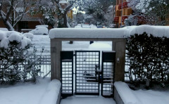 Foto Notizia: Senigallia si è risvegliata sotto 30 centimetri di neve