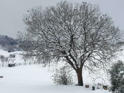 Neve sulle colline a Borgo Catena di Senigallia - Foto Angelica Di Stora