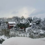 Neve sulle colline a Borgo Catena di Senigallia - Foto Angelica Di Stora