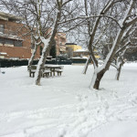 Neve al parco della Cesanella di Senigallia - Foto Mirco Catalani