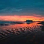 Foto di Carlo Torelli