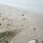 Volontari di Sea Shepherd impegnati nella pulizia della spiaggia libera a Senigallia