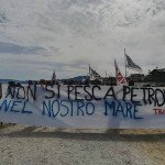 Trivelle: oltre cento in spiaggia Ancona