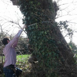 Giornata della Terra