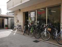Mancinelli vendita e assistenza biciclette e bici elettriche a Senigallia