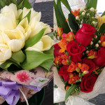 I fiori del vivaio Piantaviva di Senigallia