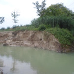 Foto del 13.giugno 2015 in località Marazzana nel punto in cui il Sambuco si immette nel Misa