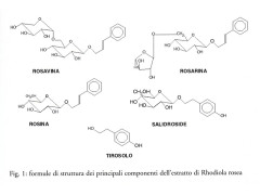 Rhodiola rosea: struttura dei principali componenti dell'estratto