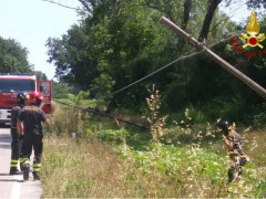 albero caduto sulla sede stradale