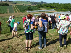 Associazione Terre dei Frattul