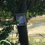 Immagine di San Giovanni Nepomuceno sull'argine della Marazzana