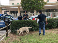 controlli speciali da parte della Polizia