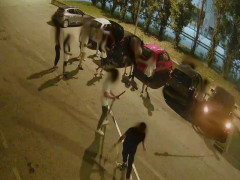 Atti vandalici a Cesano