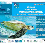Rilascio tartaruga Beatrice a Senigallia