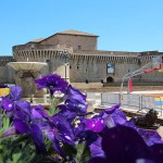 Un canestro di fiori in Piazza del Duca