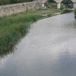 fiume Metauro
